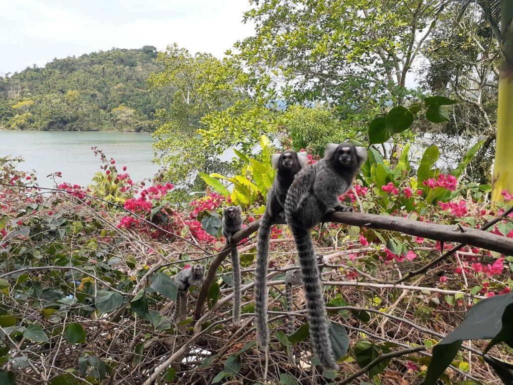 Pousada Kaete Paraty Luaran gambar